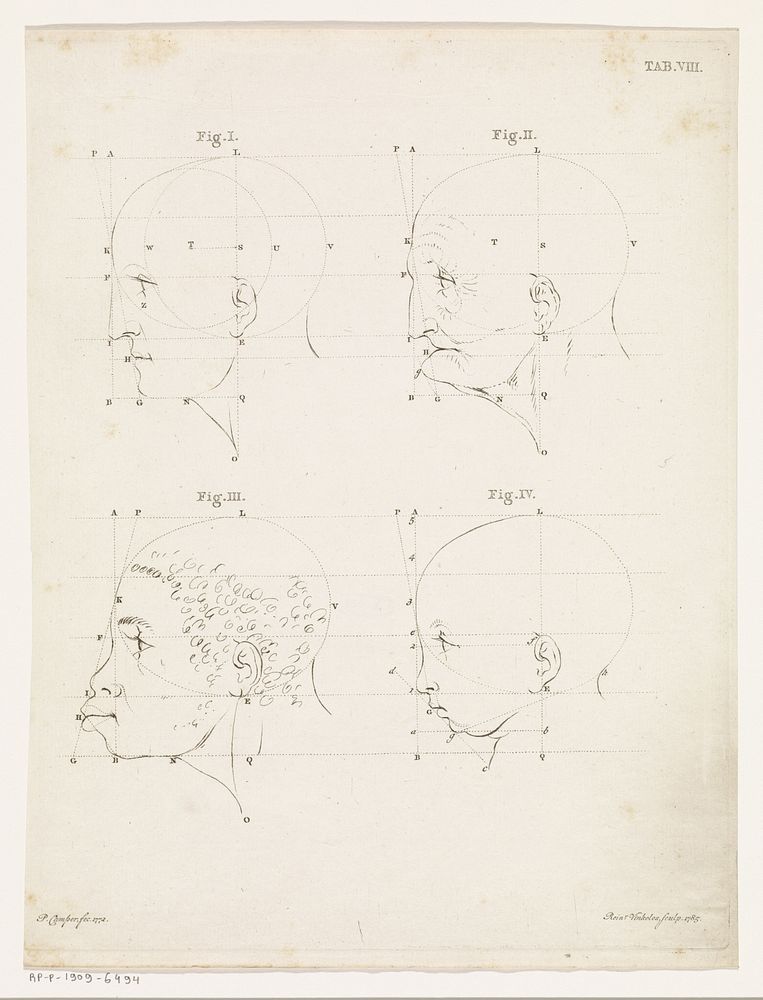 Studie van een menselijke kop op verschillende leeftijden (1785) by Reinier Vinkeles I and Petrus Camper