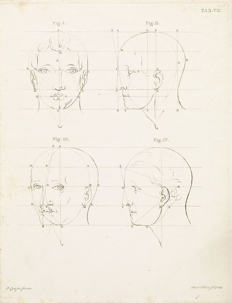 Studie van een menselijke kop vanaf verschillende posities (1785) by Reinier Vinkeles I and Petrus Camper