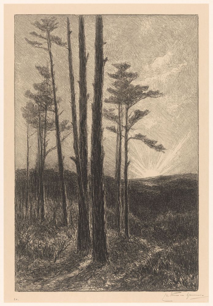 Zonsondergang in het Rijkswoud bij Kleef (1851 - 1902) by Carel Nicolaas Storm van s Gravesande