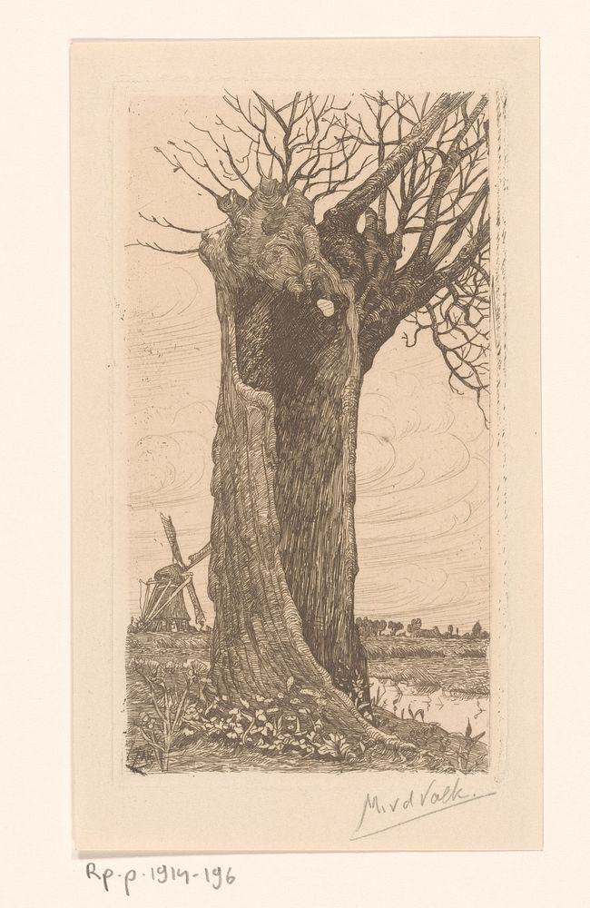 Knotwilg in landschap met molen (1867 - 1914) by Maurits van der Valk