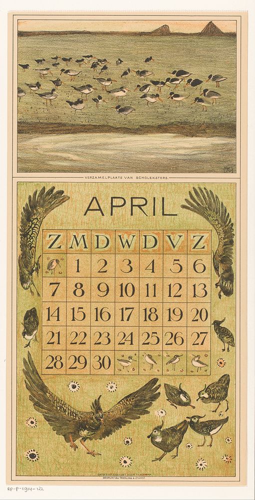 Kalenderblad april met scholeksters en kieviten (1911) by Theo van Hoytema, Tresling and Comp and Firma Ferwerda en Tieman