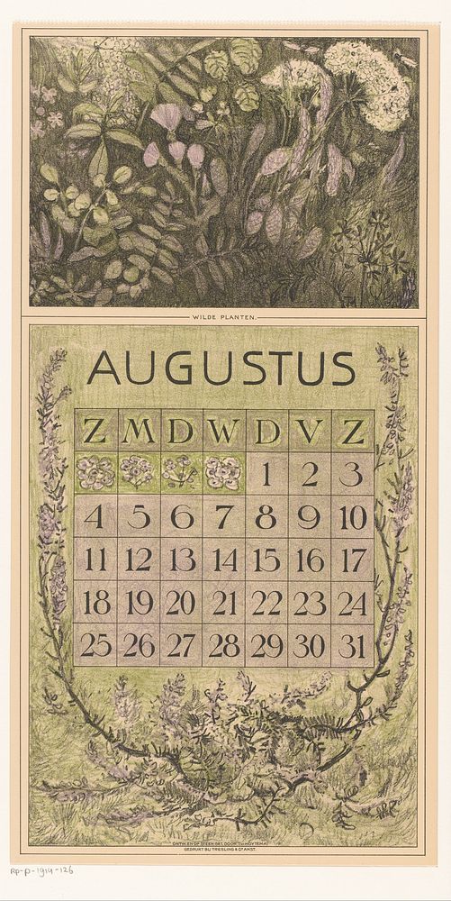 Kalenderblad augustus met planten (1911) by Theo van Hoytema, Tresling and Comp and Firma Ferwerda en Tieman
