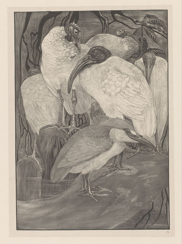 Vijf ibissen en een kwak (1898) by Theo van Hoytema