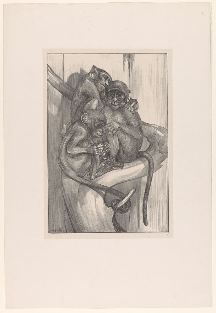 Drie apen op een boomstronk (1898) by Theo van Hoytema