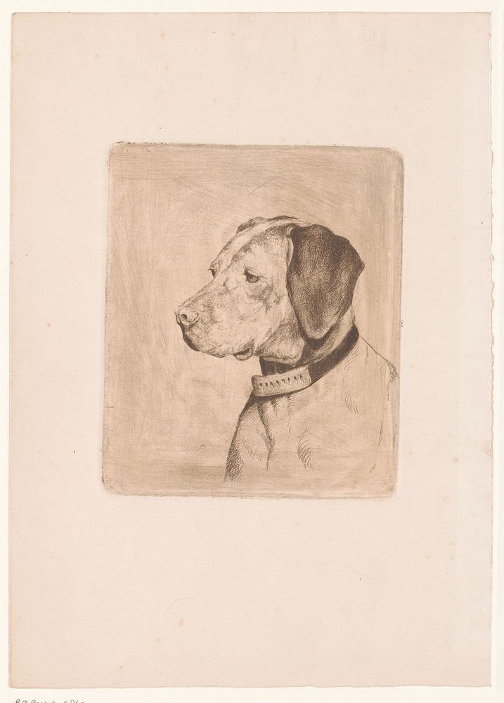 Kop van een hond met halsband (1894) by Joseph Schippers