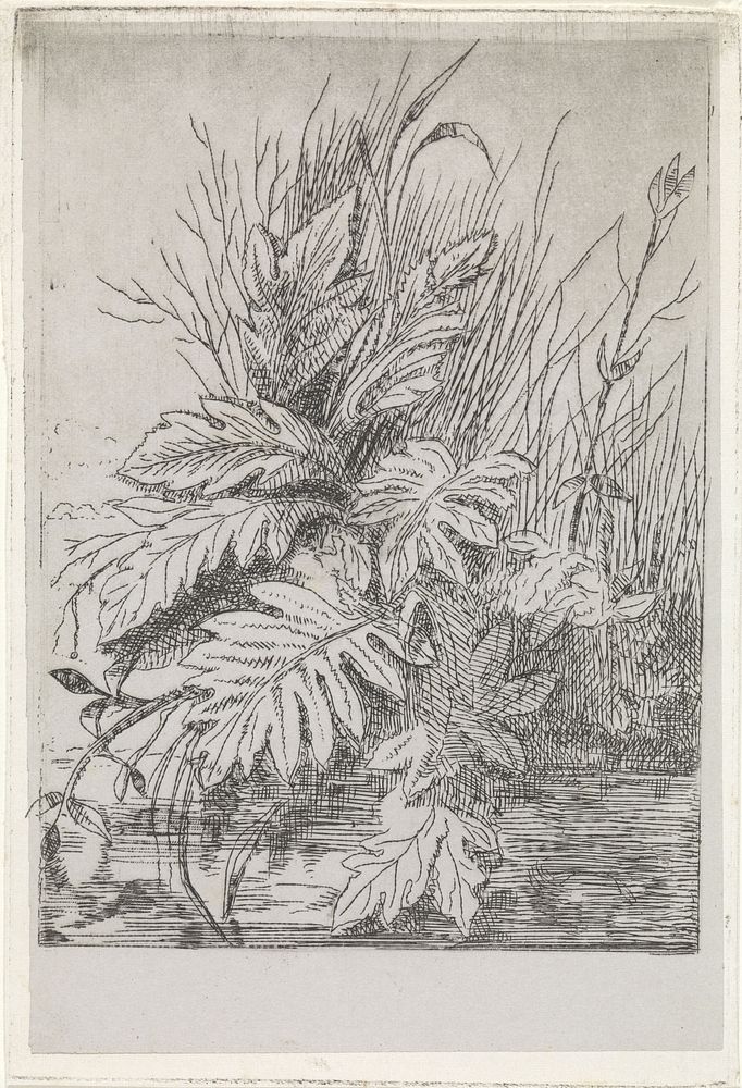 Planten (1831 - 1904) by Arnoud Schaepkens
