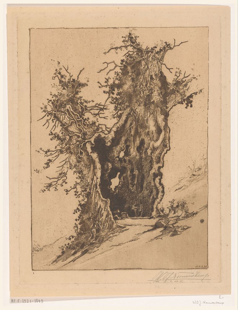 Holle boom bij Seelisberg in Zwitserland (1896) by Wijnand Otto Jan Nieuwenkamp and Wijnand Otto Jan Nieuwenkamp