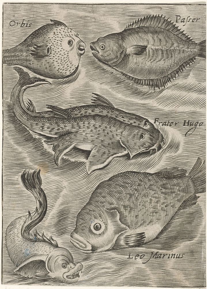 Studieblad met diverse vissen (1574 - 1687) by Monogrammist P P, Crispijn van de Passe I and Adriaen Collaert