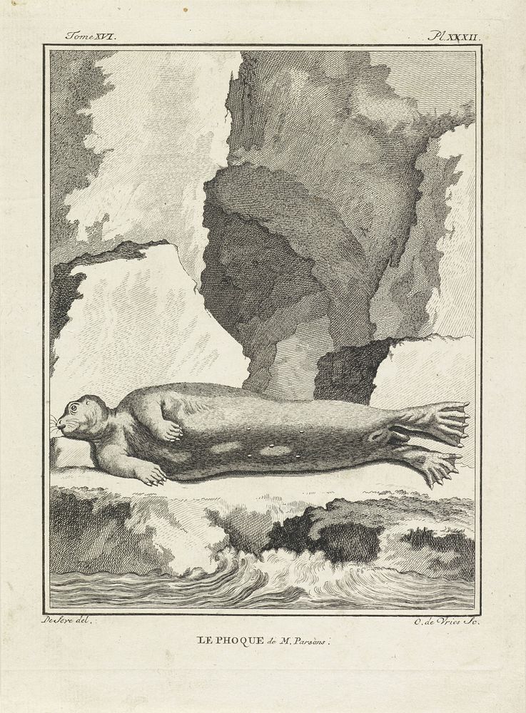 Liggende zeehond (1700 - 1800) by O de Vries and De Seve