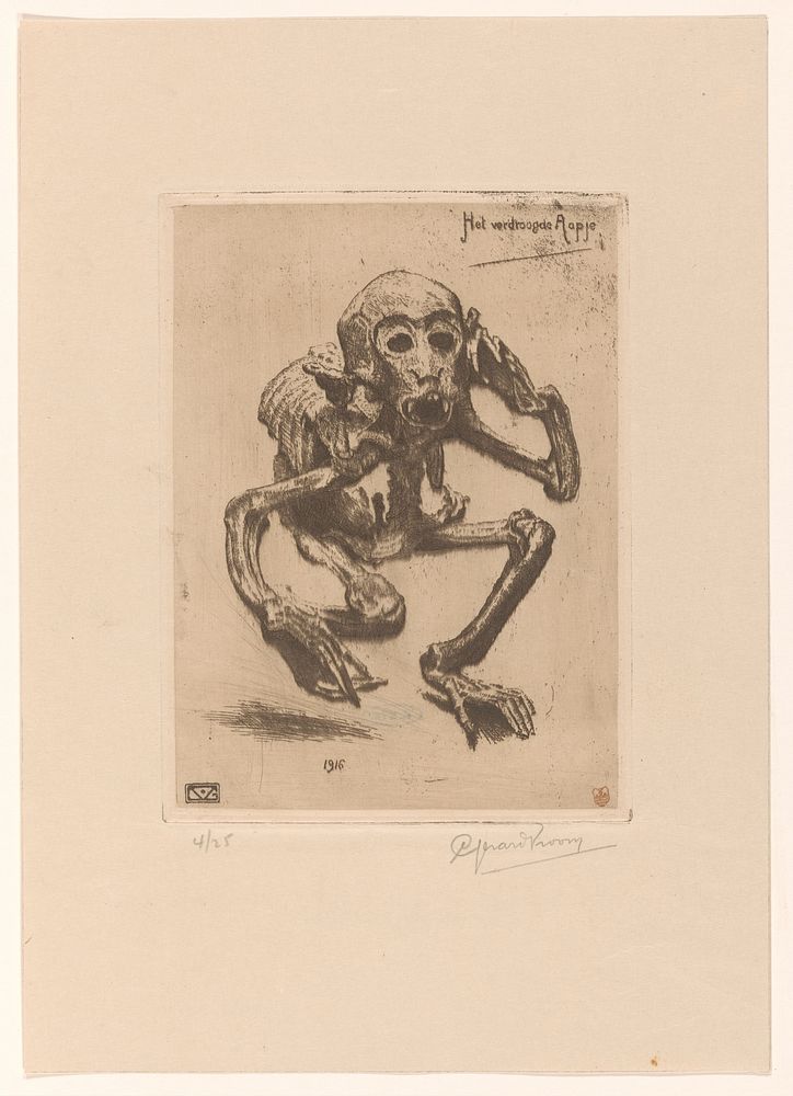 Het verdroogde aapje (1916) by Gerard Vroom