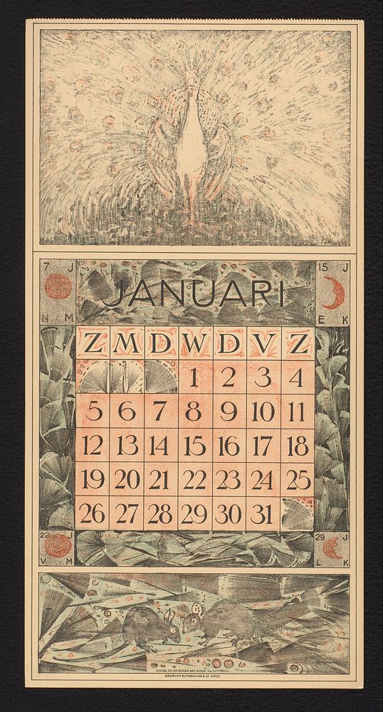 Kalenderblad voor januari 1913 met pronkende witte pauw (1912) by Theo van Hoytema, Theo van Hoytema and Tresling and Comp