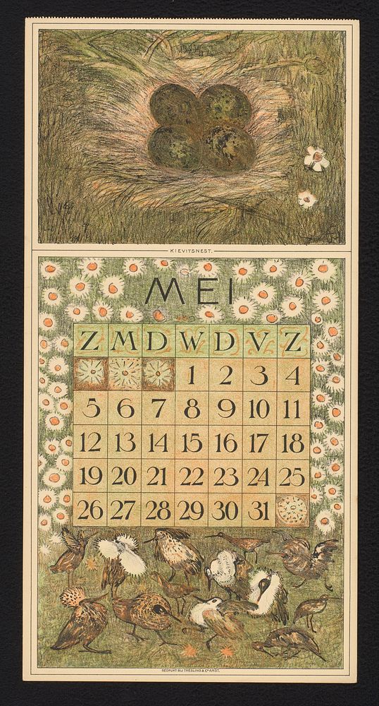 Kalenderblad voor mei 1912 met kievitseieren en kemphanen (1911) by Theo van Hoytema, Theo van Hoytema and Tresling and Comp