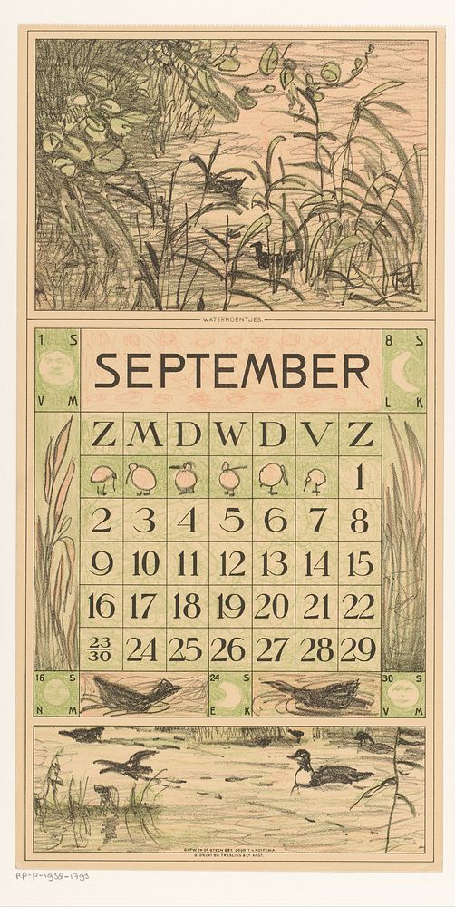 Kalenderblad september met watervogels tussen het riet (1916) by Theo van Hoytema, Tresling and Comp and Firma Ferwerda en…