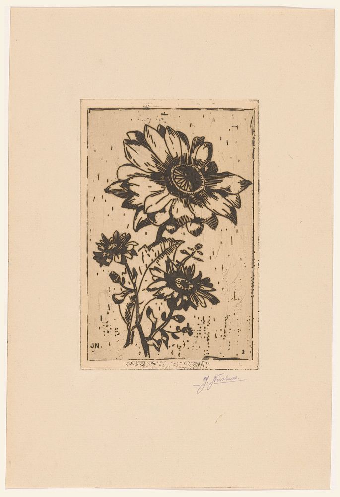 Drie bloemen (1895 - 1938) by Johannes Nicolaas