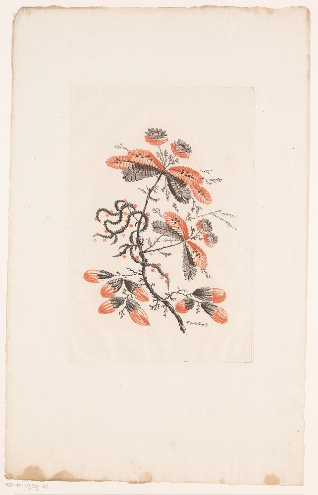 Bloemen en knoppen (1770) by Edouard Gautier Dagoty, Jean Baptiste Pillement and Charles Leviez
