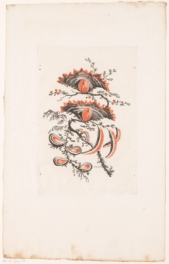 Waaiervormige bloemen (1770) by Edouard Gautier Dagoty, Jean Baptiste Pillement and Charles Leviez