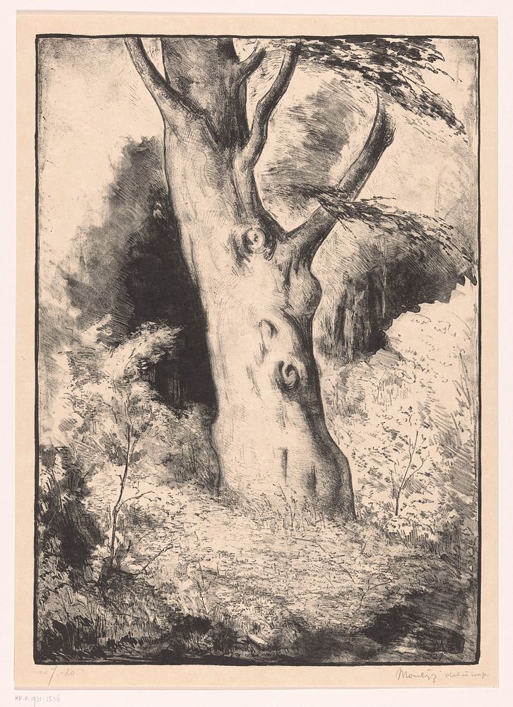 Stam van een beukenboom (1927) by Simon Moulijn