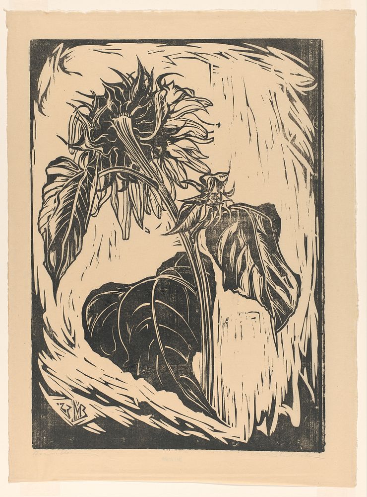 Zonnebloem (1923) by Meijer Bleekrode