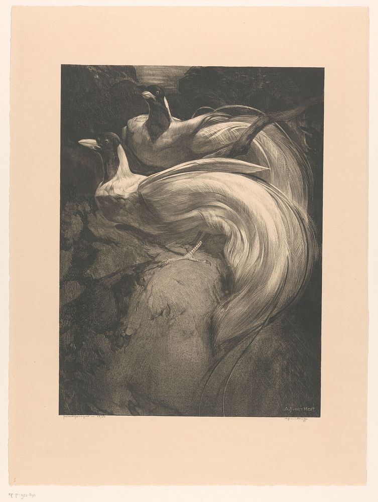 Paradijsvogels (1903 - 1932) by Adriaan J van t Hoff