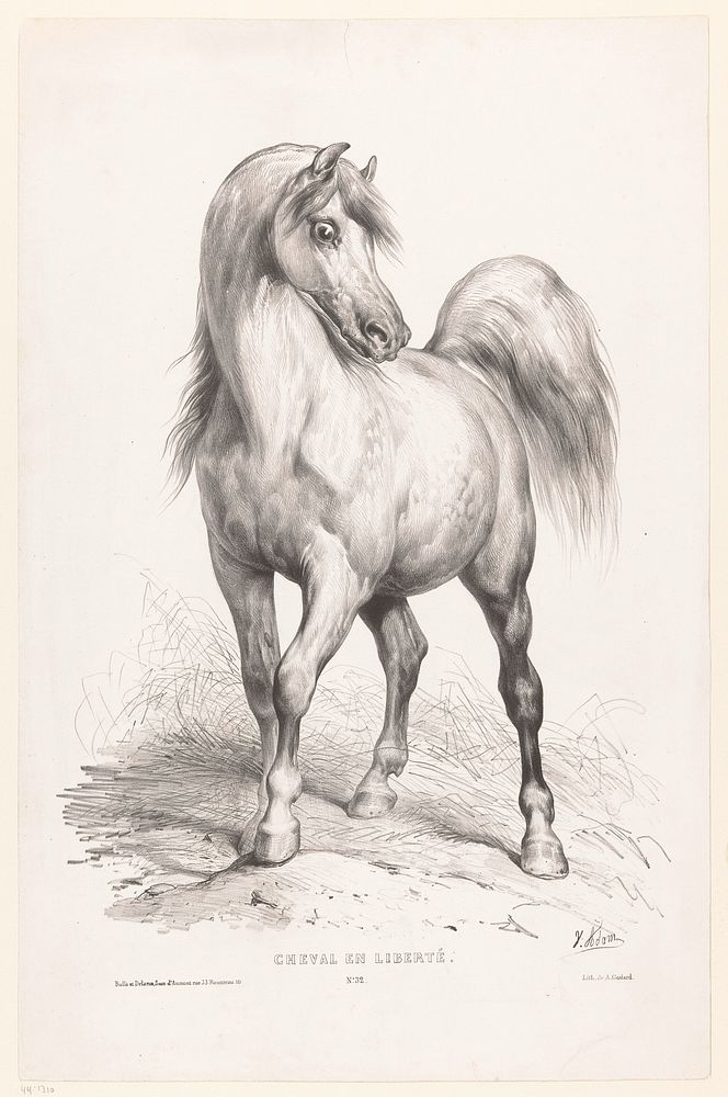 Vrij paard (1843 - 1844) by Victor Adam, Alphonse Godard and Joseph Bulla and François Delarue