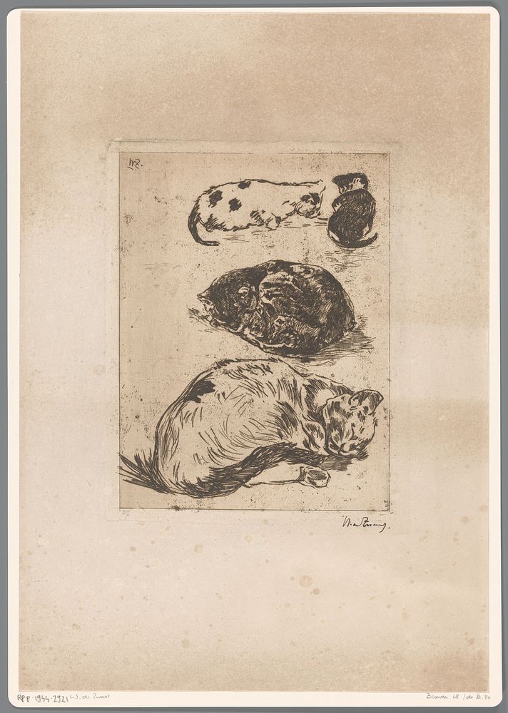 Studie van katten (c. 1896) by Willem de Zwart