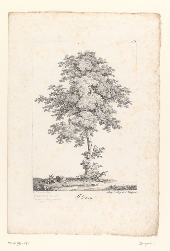 Plataan (1819) by Constant Bourgeois and François Séraphin Delpech