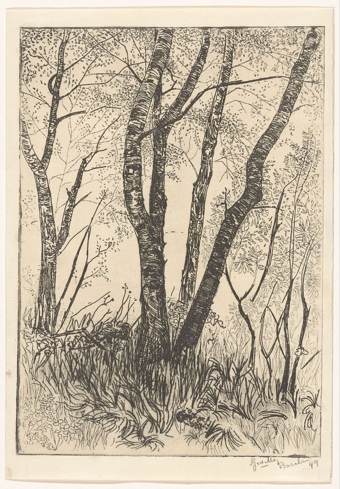 Bomen in hoog gras (1949) by G van der Mey