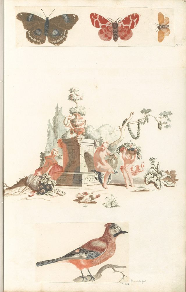 Vlaamse gaai op een tak (1688 - 1698) by anonymous and Johan Teyler