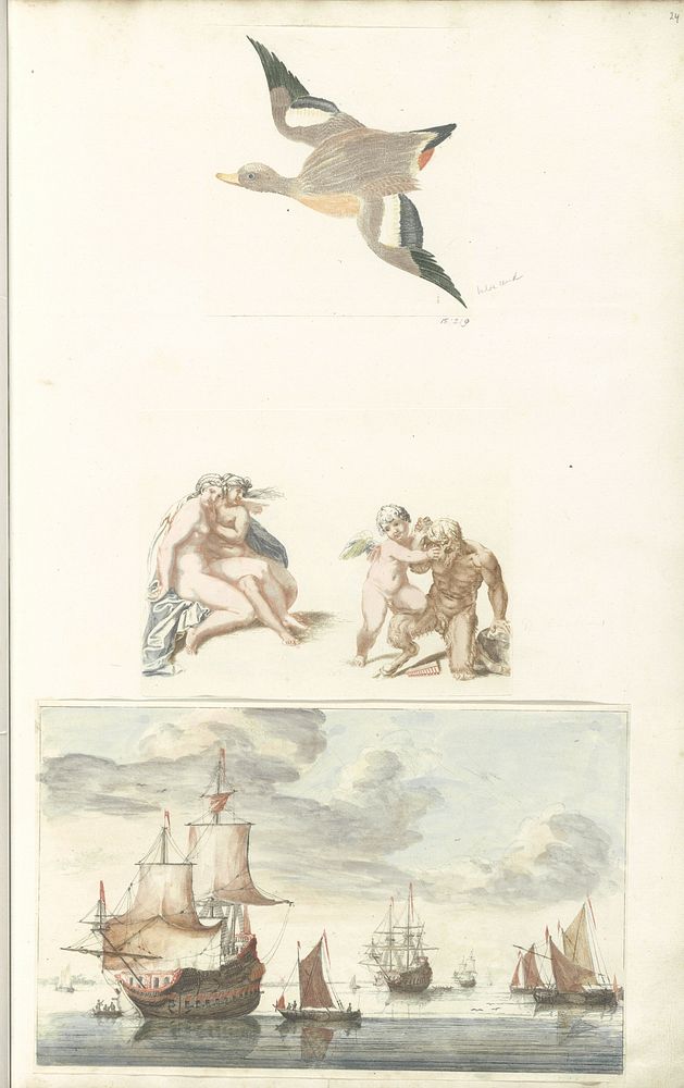 Naar links vliegende eend (1688 - 1698) by anonymous and Johan Teyler