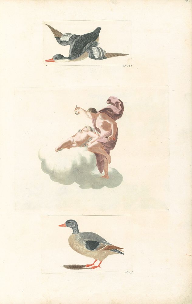 Naar links vliegende eend (1688 - 1698) by anonymous and Johan Teyler