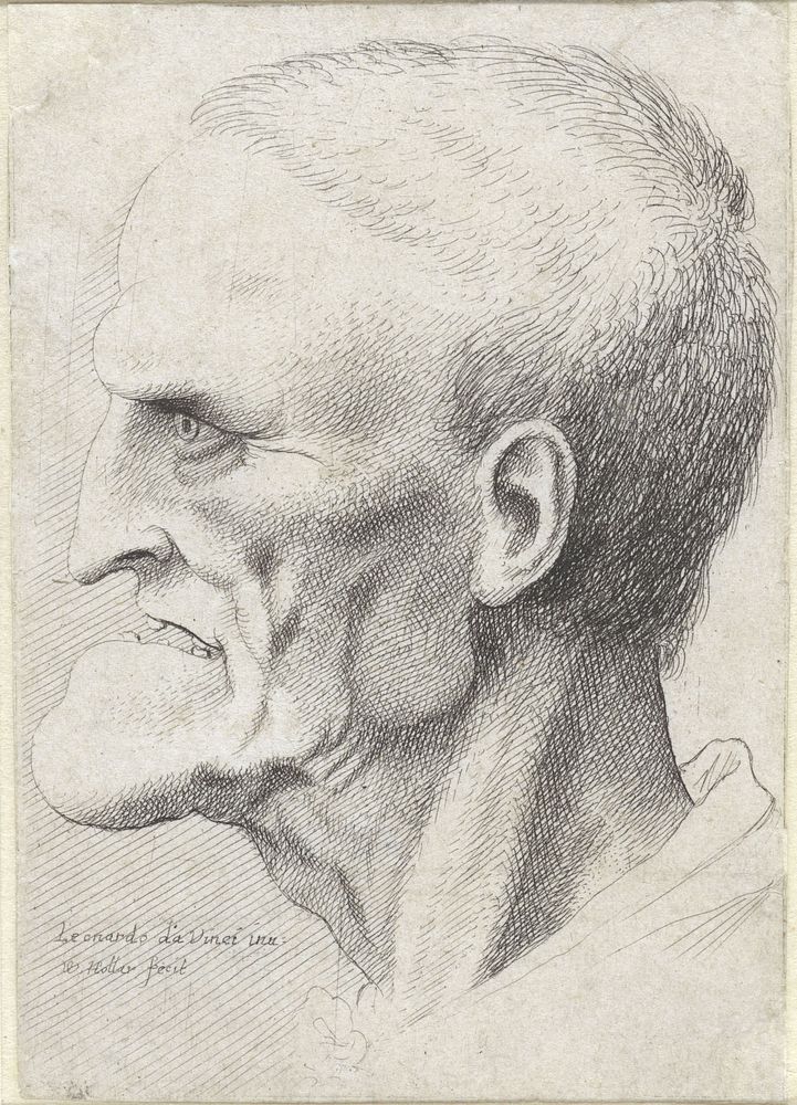 Portret van een oude man met geprononceerde kin (1644 - 1652) by Wenceslaus Hollar and Leonardo da Vinci