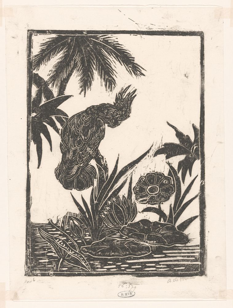 Kaketoe op tak bij waterlelies (1892 - 1951) by Janus de Winter