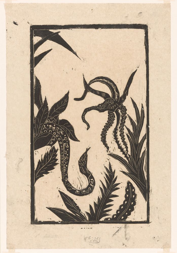 Slang tussen planten met bloem (1892 - 1951) by Janus de Winter