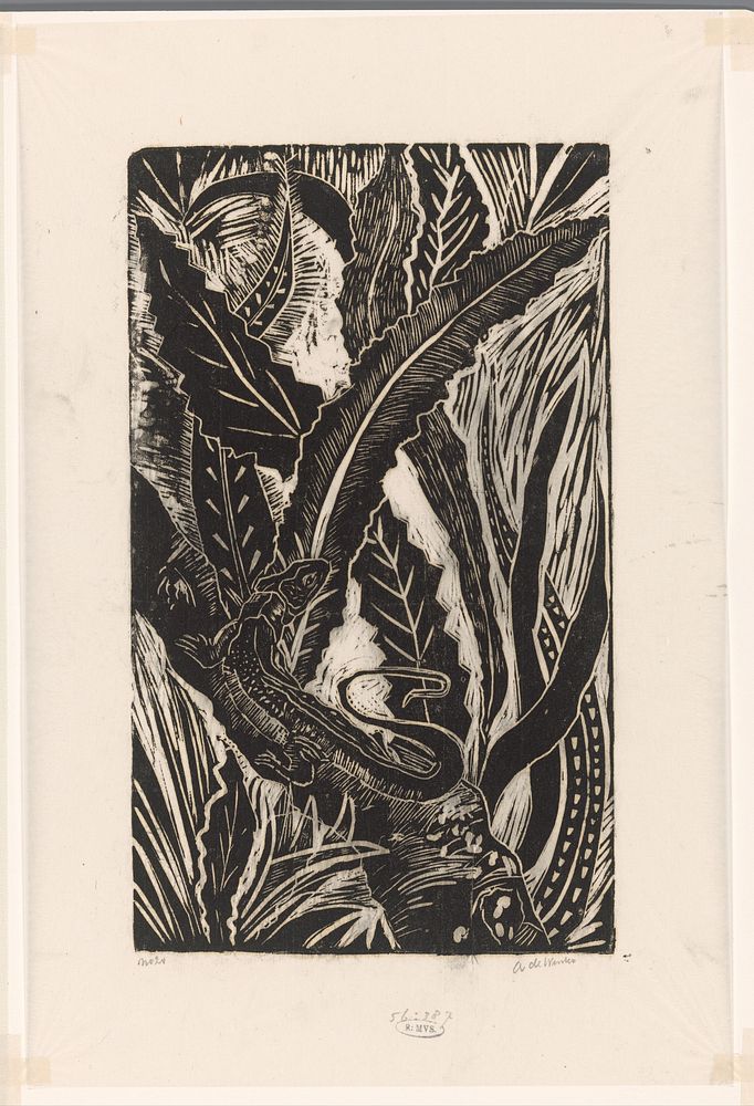 Hagedis op een boomstam (1892 - 1951) by Janus de Winter