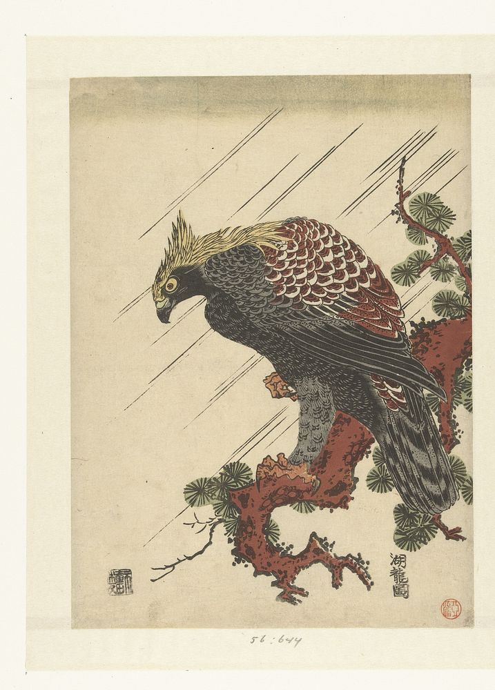 Arend op pijnboomtak in regen (1770 - 1780) by Isoda Kôryûsai and Nishimura Yohachi