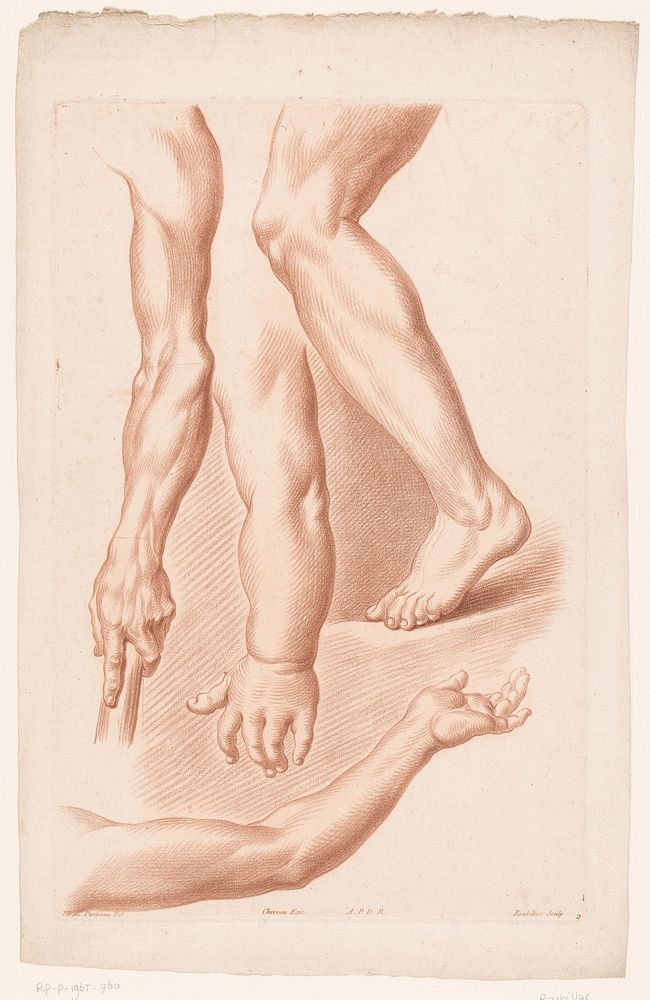 Verschillende aanzichten van een been en drie armen (c. 1780) by Roubillac, Philippe Louis Parizeau, Jacques François…