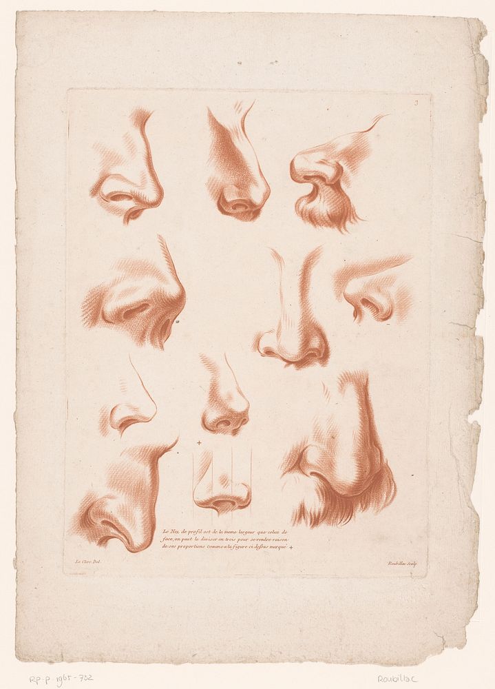 Elf neuzen vanuit verschillende perspectieven (1784 - 1796) by Roubillac, Pierre Thomas Le Clerc and Mondhare and Jean