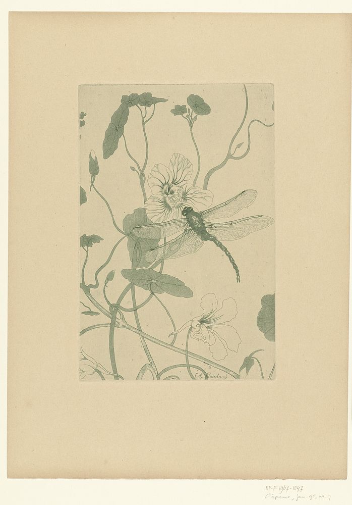 Libelle op bloem van Oostindische kers (1895) by Charles Louis Houdard, L Epreuve and P Lemaire
