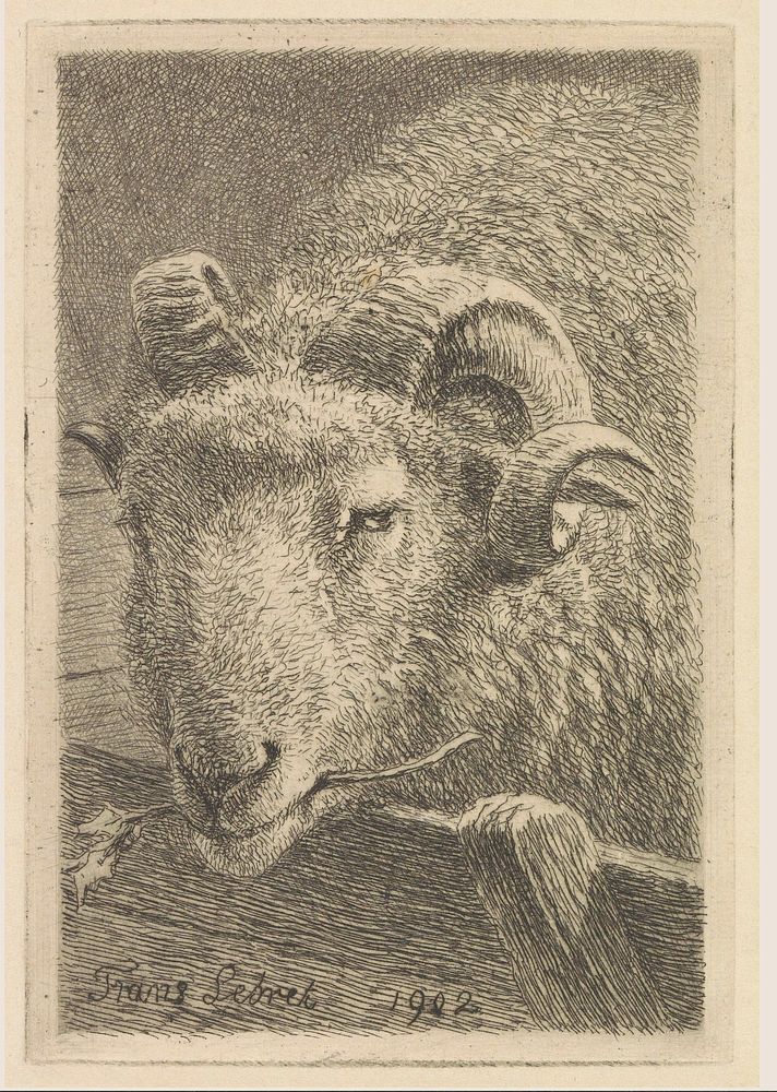 Kop van een ram (1902) by Frans Lebret