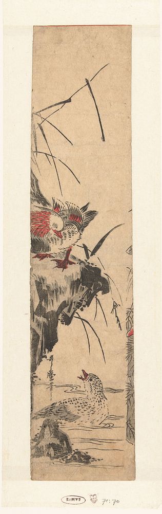 Twee mandarijneenden (1808 - 1812) by Utamaro II  Kitagawa