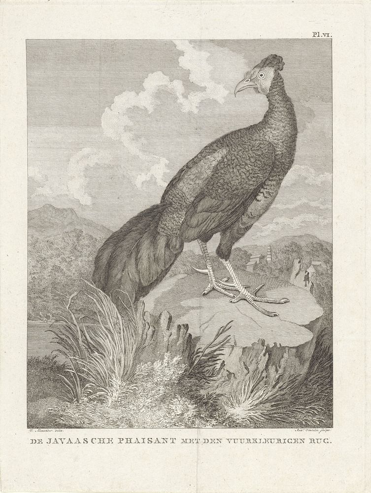 Vogel op een boomstronk in een landschap (1751 - 1816) by Reinier Vinkeles I and William Alexander