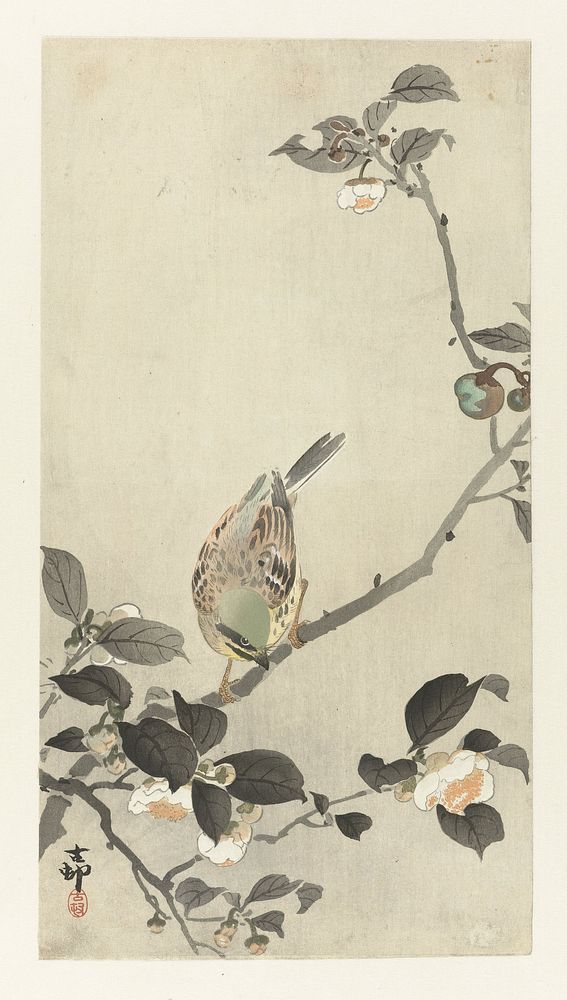 Gors op bloesemtak (1900 - 1930) by Ohara Koson and Matsuki Heikichi