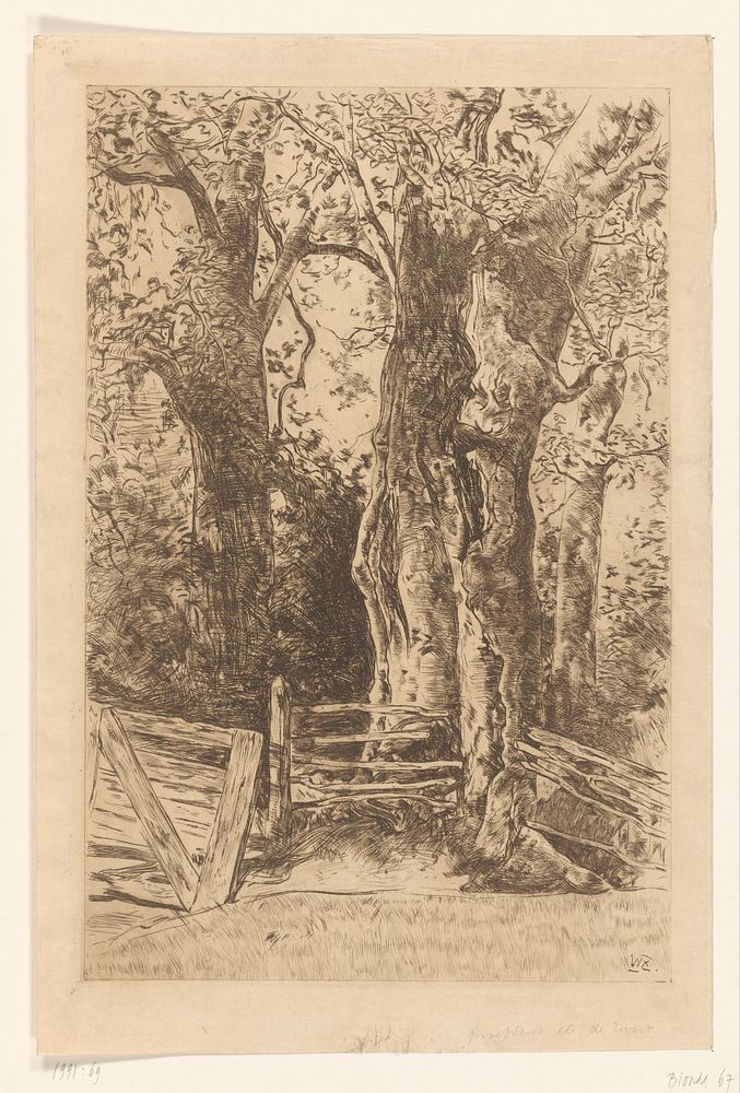Bomen bij een hek (c. 1896) by Willem de Zwart