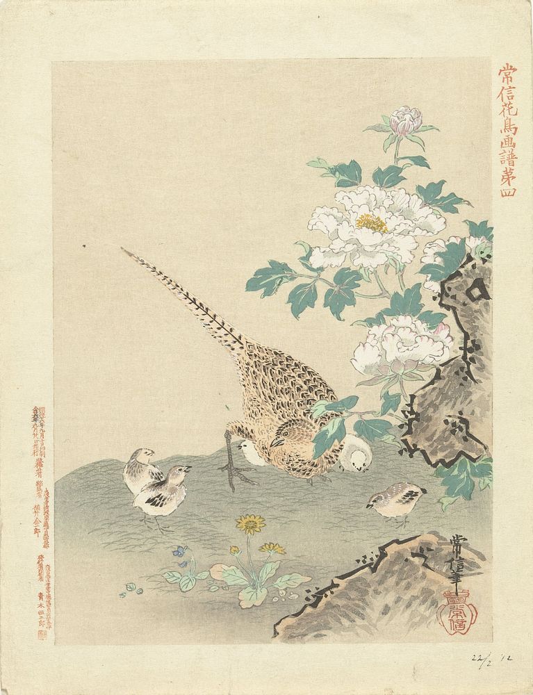 Kwartel met kuikens (1893) by Kano Tsunenobu, Aoki Kôsaburô and Aoki Kôsaburô