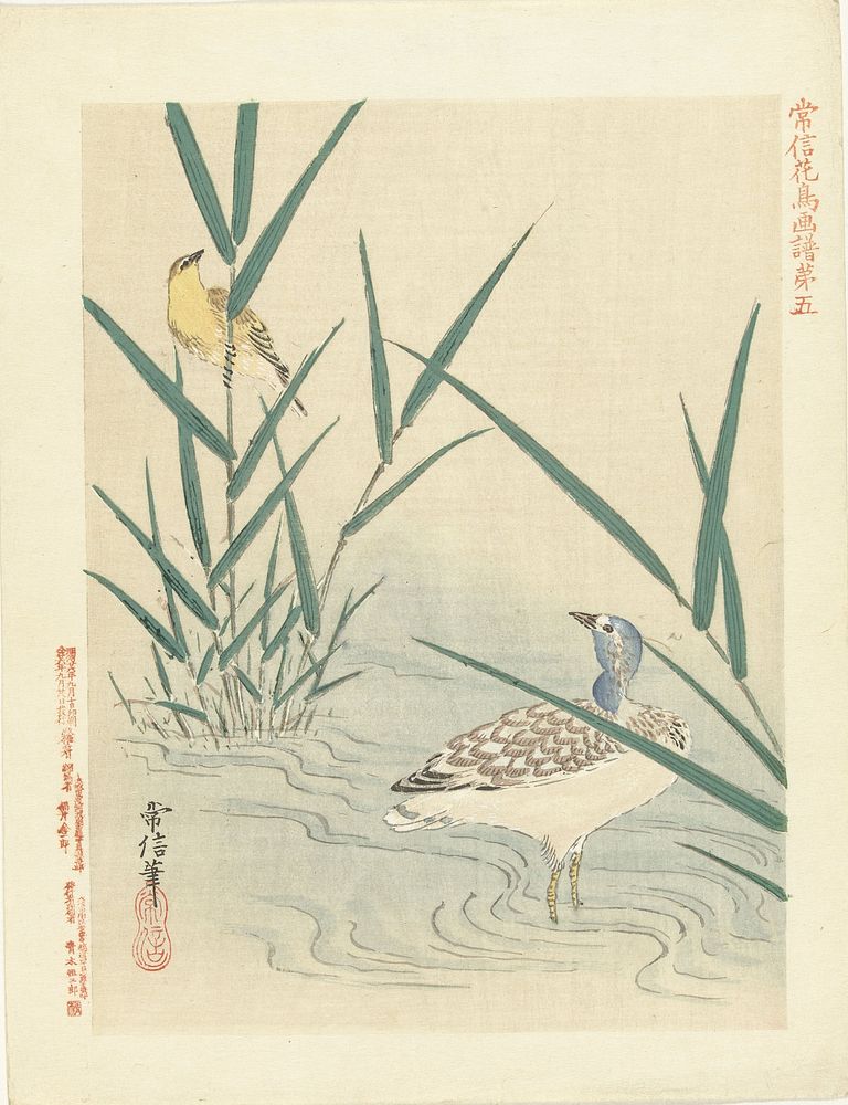 Watervogel kijkend naar gele zangvogel (1893) by Kano Tsunenobu, Aoki Kôsaburô and Aoki Kôsaburô