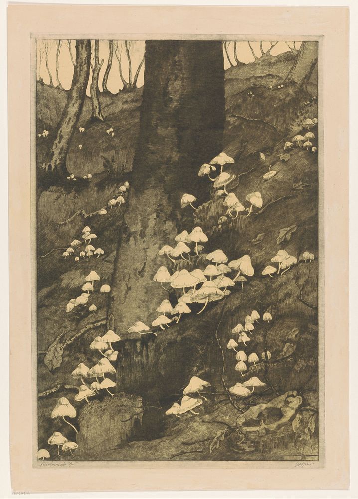 Paddenstoelen in een bos (1926) by H C Spruit