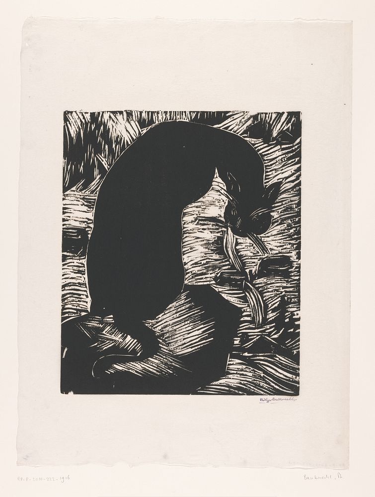 Over de schouder kijkende zwarte kat (1894 - 1933) by Philipp Bauknecht