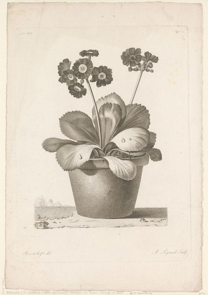 Pot met bloemen (1775 - 1815) by Auguste Claude Simon Legrand and Jean Louis Prevost le Jeune