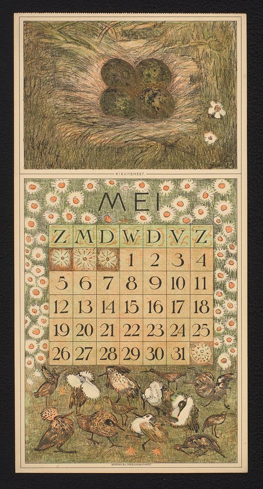 Kalenderblad voor mei 1912 met kievitseieren en kemphanen (1911) by Theo van Hoytema, Theo van Hoytema and Tresling and Comp