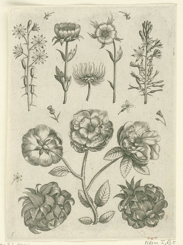Blad met bloemen: middenonder drie rozen tussen twee artisjokken (1570 - before 1618) by Adriaen Collaert, Adriaen Collaert…